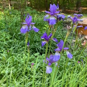 Meet your Posher, Posh